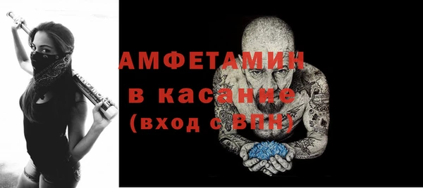 индика Алзамай