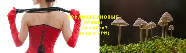 индика Алзамай