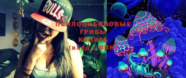 индика Алзамай