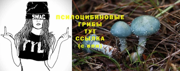 индика Алзамай