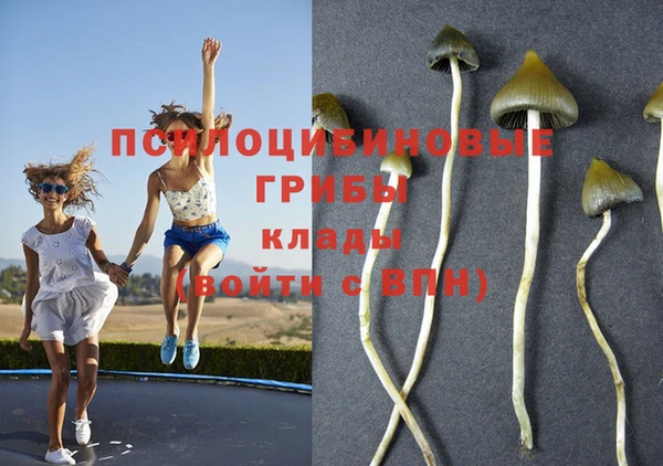 хмурый Абаза