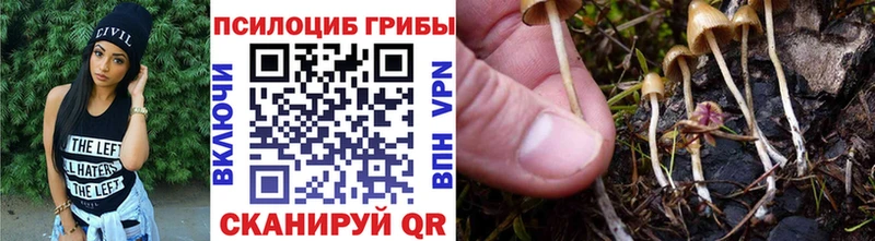 Псилоцибиновые грибы ЛСД  OMG зеркало  Грайворон 